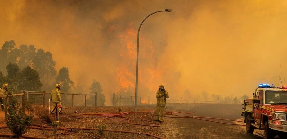 Waldbrände – einige nüchterne Fakten