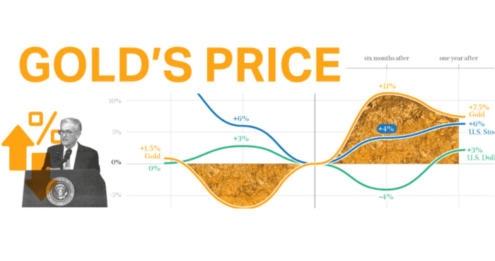 Die Beziehung zwischen dem Goldpreis und der 10-Jahres-TIPS-Rendite und warum sie wichtig ist